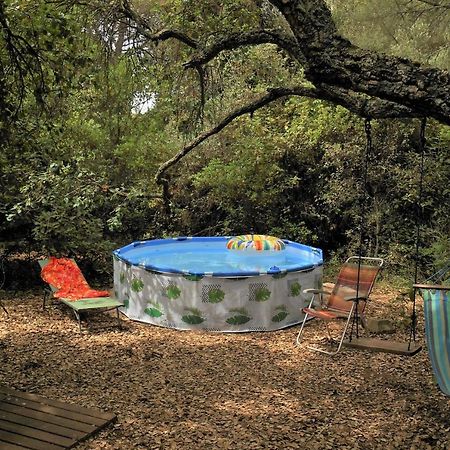 La Cabana Del Alcornoque Κόρδοβα Εξωτερικό φωτογραφία
